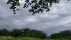 «Я встретил другую. Прощай!» Таня побледнела увидев смс от мужа и уехала в деревню...