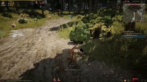 Black Desert агрессивный желтоклюв