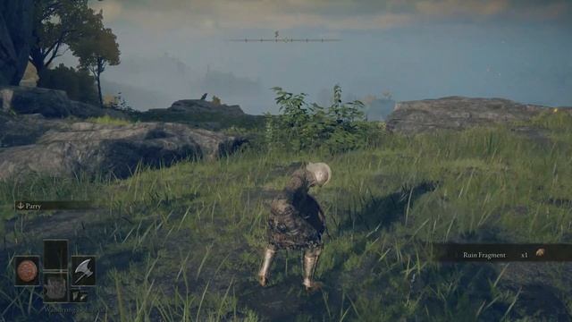 ELDEN RING - Wandering Nobles - Ashes смотреть онлайн