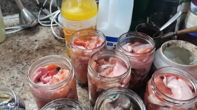 Готовим консервы из горбуши и скумбрии в автоклаве на пару.