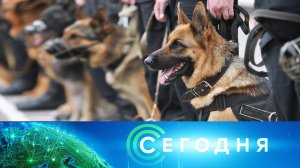 «Сегодня»: 15 сентября 2024 года. 08:00 | Выпуск новостей | Новости НТВ