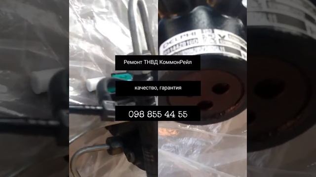 Ремонт ТНВД Рено Кенго