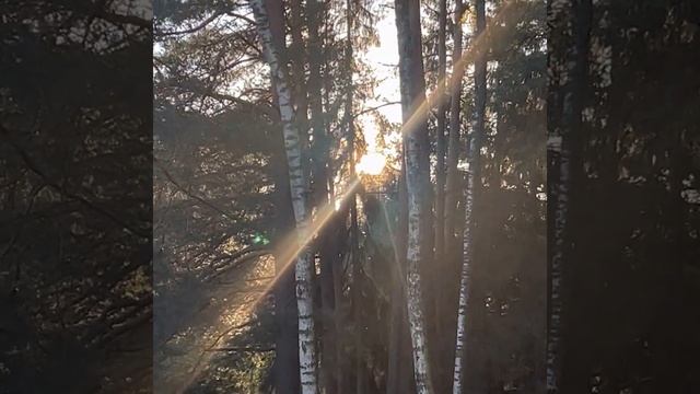 Осень щедрая. Красивые стихи и видео. Автор: Наталья Комиссарова