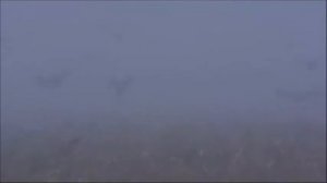 Уральский народный хор -Журавли