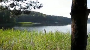 Отдых на Озере Верято Псковская область, палаточный лагерь