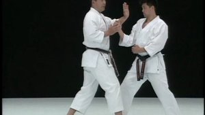 Лучшие техники каратэ шотокан от Рюдзи Сугита. Ч 3.