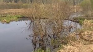 Знакомство с Лазинками