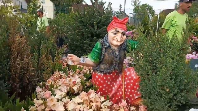 Поездка в садовый центр "Дарвин" (заключительная часть) смотреть онлайн