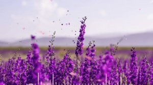 Музыка трогает сердце! Музыкальный сборник Сергея Чекалина, который стоит послушать весной!#1