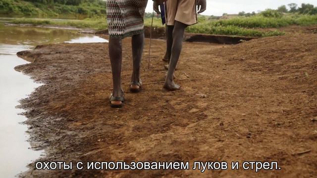 Племя Хадза в Танзании: почему они до сих пор живут охотой и собирательством? смотреть онлайн