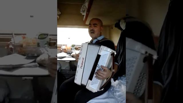 Одинокая бродит гармонь смотреть онлайн