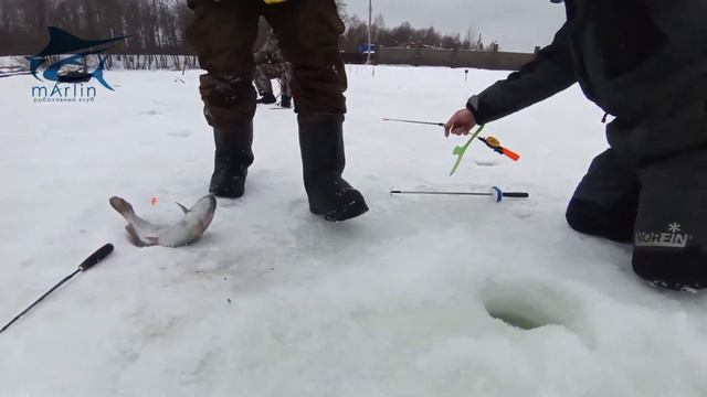 Поимки форели смотреть онлайн