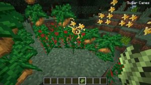 ОБЗОР ПОЛНОЙ СБОРКИ КОМПОТА НА 1.12.2