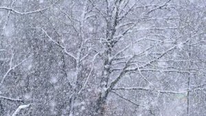 Снегопад.mp4