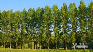 Парк Победы, Санкт-Петербург. Park Pobedy, Saint Petersburg