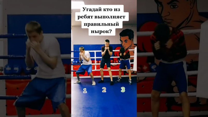 #shorts #бокс