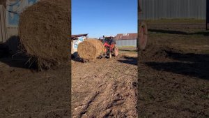 Навесное оборудования трактора Т-25