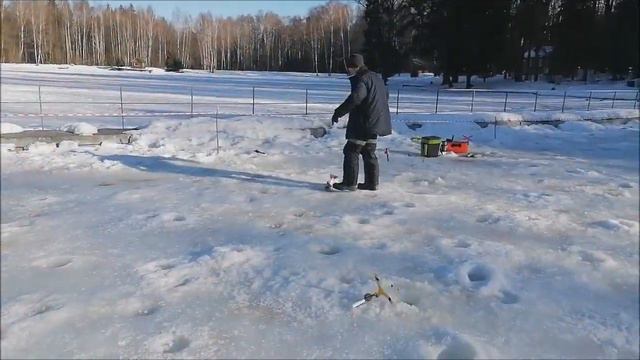 Стационарные снасти до запуска, ну а дальше и то, и другое. Клёвое место, Лосиный остров. смотреть онлайн