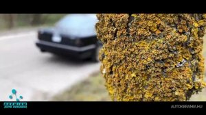 Audi V8 d11 Quattro ( carporn )