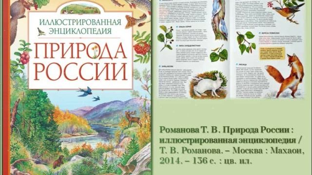 Слово о лесе смотреть онлайн