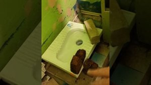 Унитаз поменял на чашу генуя