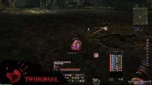 ТОП 5 ЛУЧШИХ КЛАССОВ ДЛЯ ПВП В Lineage 2 Essence