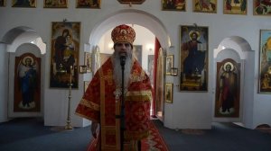 Обращение епископа Мефодия к пастве в День Трезвости
