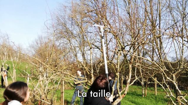 Découverte de la filière commerce et vente lycée horticole Gaston Chaissac смотреть онлайн