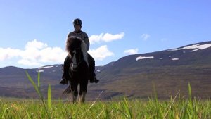 De magie van het betoverende IJsland - met Suzanne