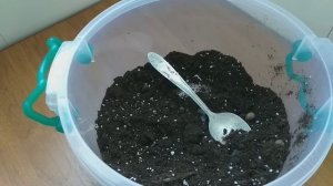 Комнатные растения?Бугенвиллея просит пересадки?Состав, кислотность грунта?Результат обрезки✂️