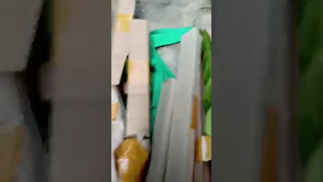 Вариегатные замиокулькасы купить смотреть онлайн