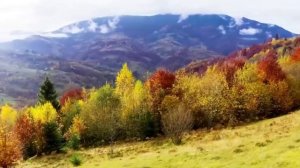 Украинцы - это тюрки, а не славяне