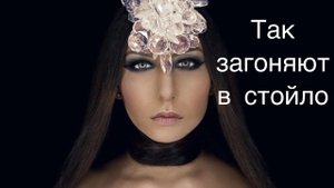 Так пудрят мужчинам мозги до вступления в брак