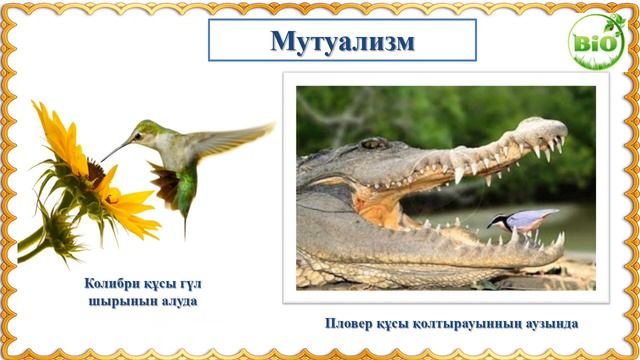 Тірі ағзалардың өзара қарым-қатынас түрлері
