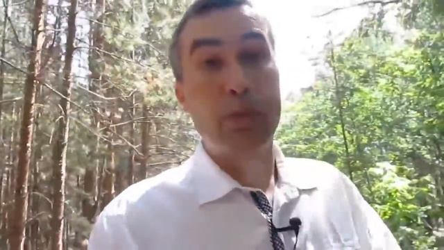 Электронные торги. Стадии продажи имущества должников [Академия торгов по банкротству]