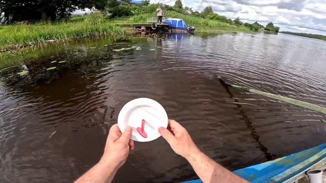 Рыбалка на Волхове. В поисках сома. смотреть онлайн