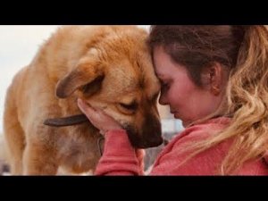 Она пришла в приют и выбрала уродливого пса, от которого все отказались, поступок трогает до слёз