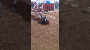 Культиватор caiman 50s в работе