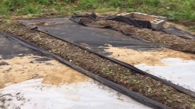 13.08.19. Привезли с дачи компост и оставшиеся горшечные растения. смотреть онлайн