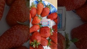 Замечательные ягоды Орлеца 8 июля 2020 г.
