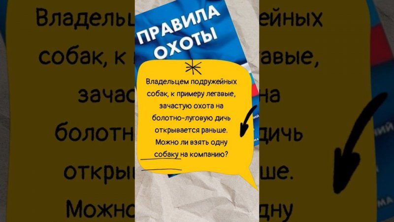 Можно ли взять на охоту одну подружейную собаку на компанию? #мужскаякаморка  #shorts