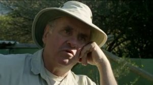 "Zooпарк": "Медоеды - мастера хаоса"