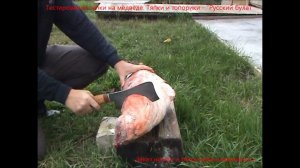 Тяпка из дамасской стали "Русский булат". Тест на медведе. Отзыв "Русский булат"