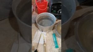 Кормление птенцов Жако