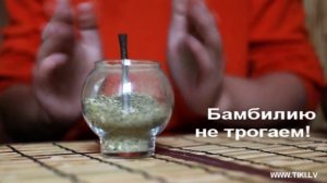 Как заваривать мате