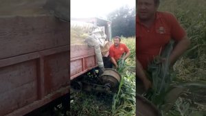 Силосный комбайн