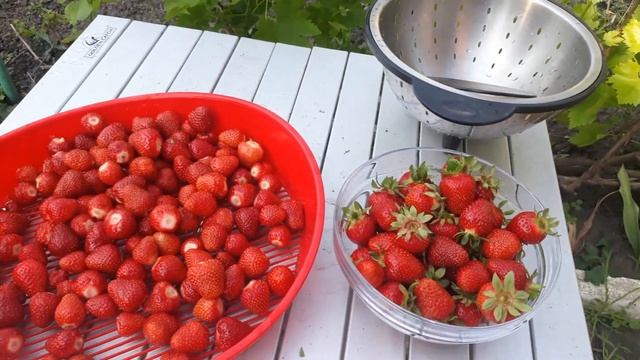 Обалденное варенье с клубники. Сезон заготовок открыт.Жизнь ПРОДОЛЖАЕТЬСЯ....
