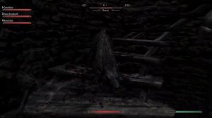 This is how NOT to play Skyrim Together Reborn