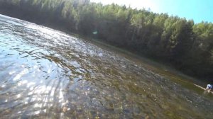 И снова на СЕВЕР ( р.ЕНИСЕЙ - р.КУТУКАС- р.ВОРОГОВКА) 2019г.