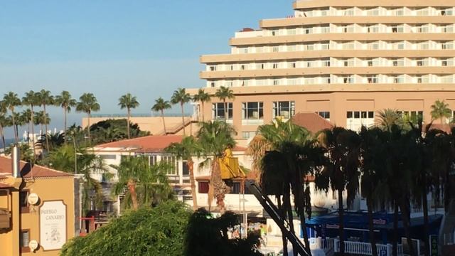 Обрезка пальм на Тенерифе (Канарские острова). 2019 год. Снимал Рязанов Егор, фитопатолог. смотреть онлайн